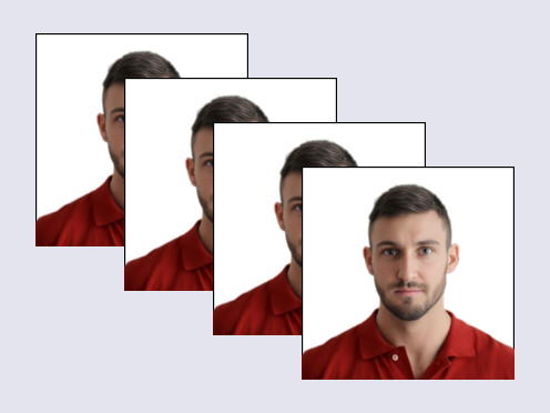 online passport photo